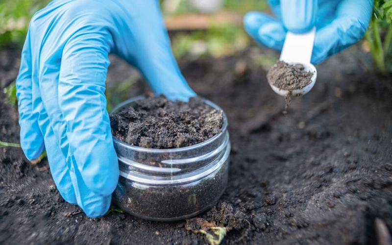 secret soil discovering microbes in dirt