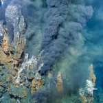 deep-sea hydrothermal vents chemical biological