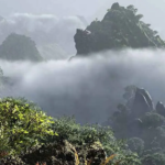 cloud forests journey mist