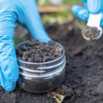 secret soil discovering microbes in dirt