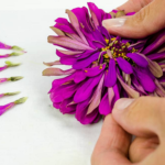 creating pressed flower art